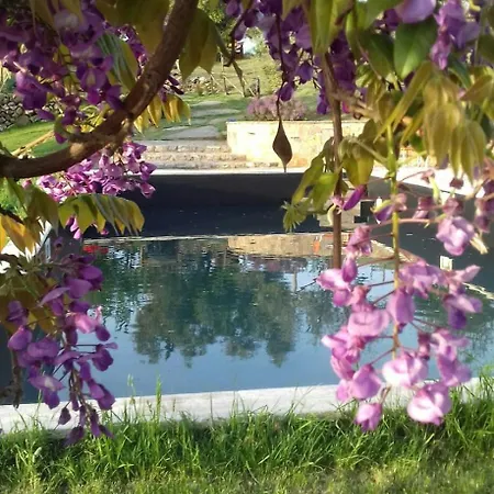 Meridiana فيلة Cana